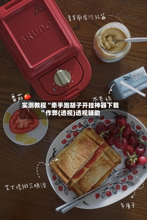 实测教程“牵手跑胡子开挂神器下载”作弊(透视)透视辅助-第3张图片