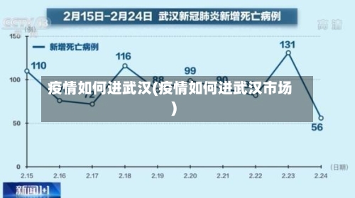 疫情如何进武汉(疫情如何进武汉市场)