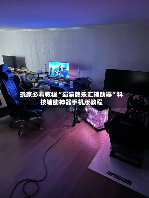 玩家必看教程“蜀渝牌乐汇辅助器	”科技辅助神器手机版教程-第2张图片