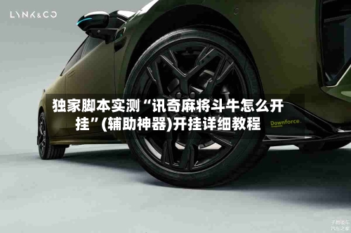 独家脚本实测“讯奇麻将斗牛怎么开挂”(辅助神器)开挂详细教程