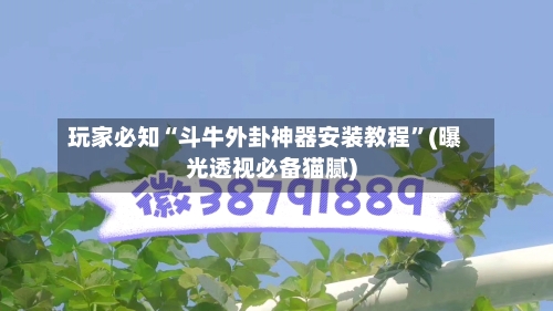 玩家必知“斗牛外卦神器安装教程”(曝光透视必备猫腻)