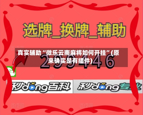 真实辅助“微乐云南麻将如何开挂”(原来确实是有插件)-第2张图片
