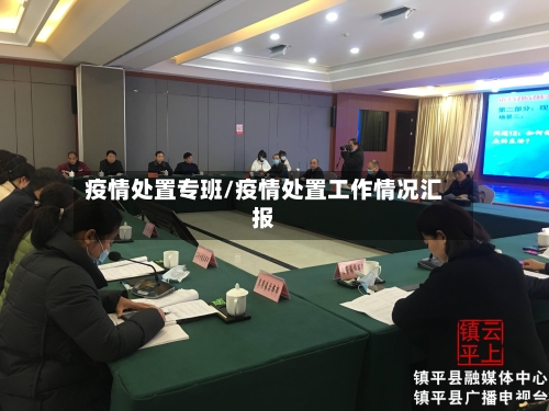 疫情处置专班/疫情处置工作情况汇报