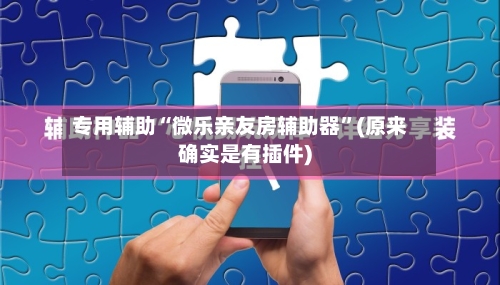 专用辅助“微乐亲友房辅助器”(原来确实是有插件)-第3张图片