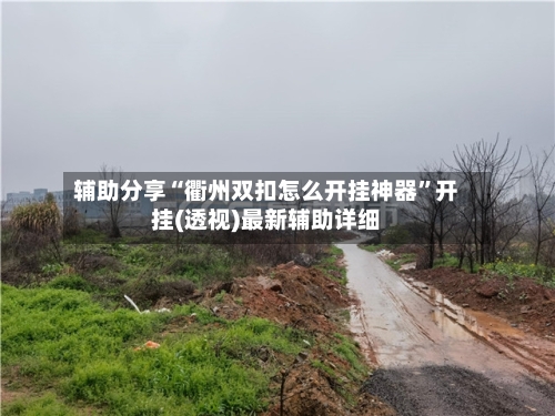 辅助分享“衢州双扣怎么开挂神器	”开挂(透视)最新辅助详细-第3张图片