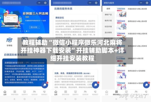 教程辅助“微信小程序微乐河北麻将开挂神器下载安装”开挂辅助脚本+详细开挂安装教程-第3张图片