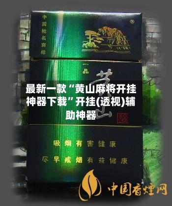 最新一款“黄山麻将开挂神器下载	”开挂(透视)辅助神器-第3张图片