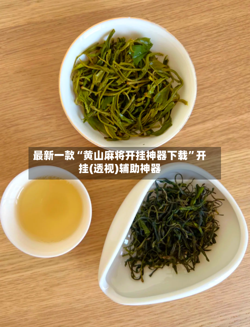 最新一款“黄山麻将开挂神器下载”开挂(透视)辅助神器-第2张图片