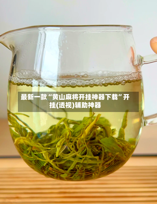 最新一款“黄山麻将开挂神器下载”开挂(透视)辅助神器