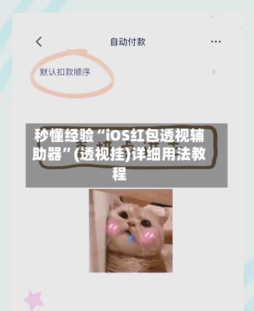 秒懂经验“iOS红包透视辅助器”(透视挂)详细用法教程-第3张图片