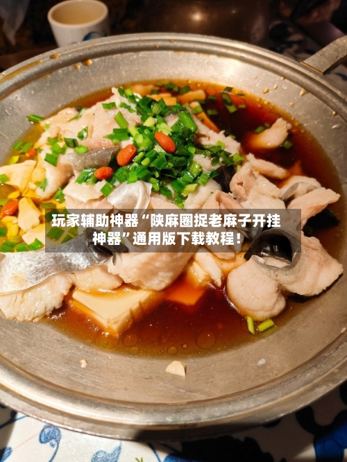 玩家辅助神器“陕麻圈捉老麻子开挂神器”通用版下载教程！-第2张图片