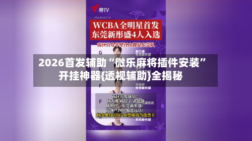 2026首发辅助“微乐麻将插件安装”开挂神器{透视辅助}全揭秘-第3张图片