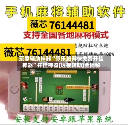 玩家辅助神器“微乐跑得快免费开挂神器”开挂神器{透视辅助}全揭秘-第3张图片