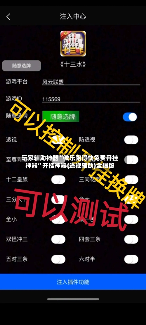 玩家辅助神器“微乐跑得快免费开挂神器”开挂神器{透视辅助}全揭秘-第2张图片