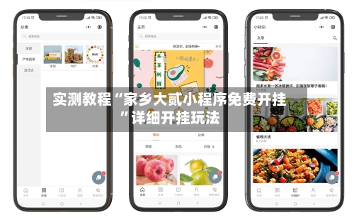 实测教程“家乡大贰小程序免费开挂”详细开挂玩法-第2张图片