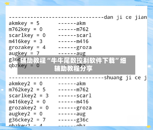辅助教程“牛牛尾数控制软件下载	”细辅助教程分享-第2张图片
