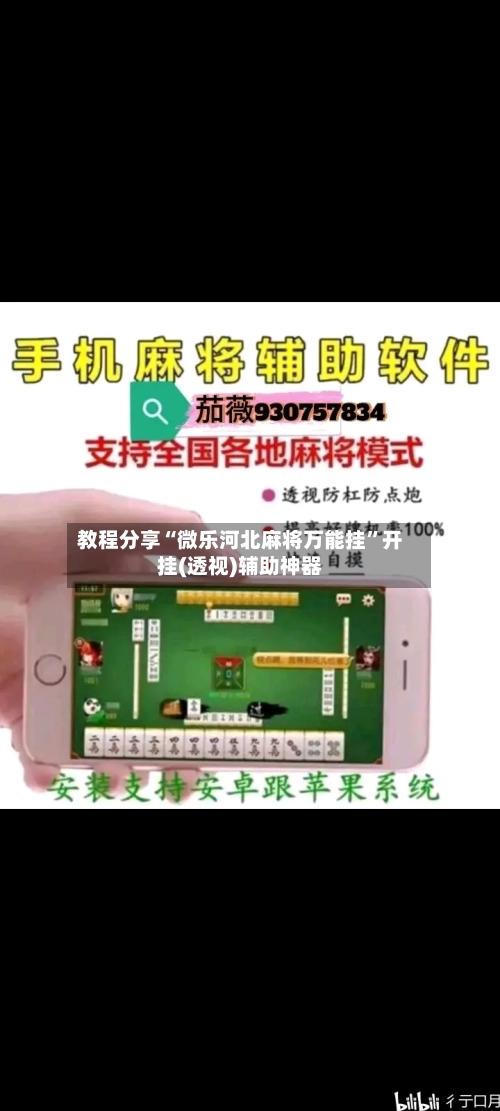 教程分享“微乐河北麻将万能挂	”开挂(透视)辅助神器-第2张图片