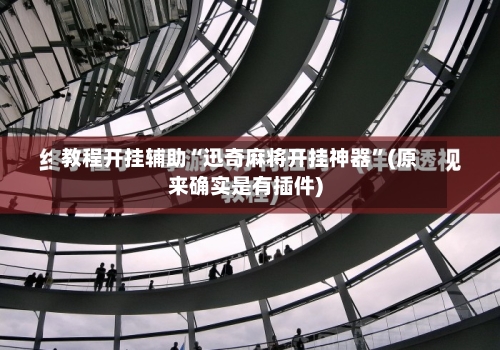 教程开挂辅助“迅奇麻将开挂神器”(原来确实是有插件)-第3张图片