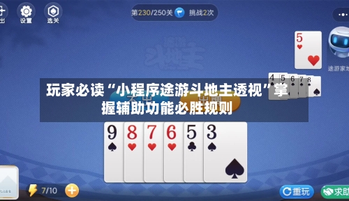 玩家必读“小程序途游斗地主透视”掌握辅助功能必胜规则-第2张图片