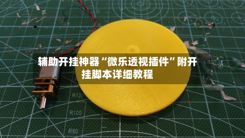 辅助开挂神器“微乐透视插件”附开挂脚本详细教程-第3张图片