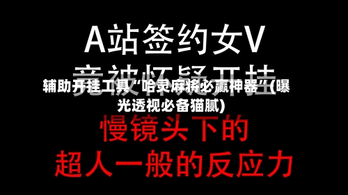 辅助开挂工具“哈灵麻将必赢神器”(曝光透视必备猫腻)-第2张图片