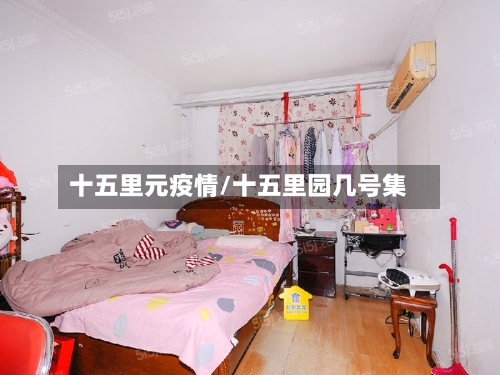 十五里元疫情/十五里园几号集-第2张图片