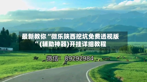 最新教你“微乐陕西挖坑免费透视版	”(辅助神器)开挂详细教程-第2张图片