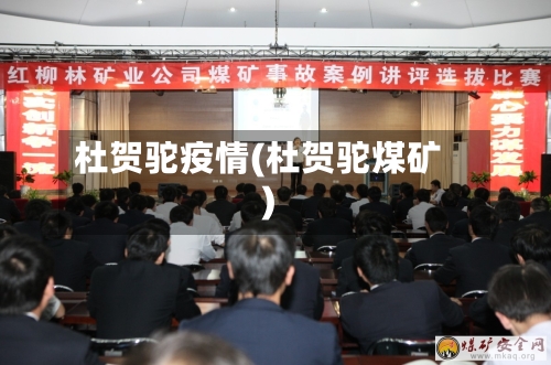 杜贺驼疫情(杜贺驼煤矿)