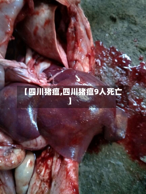 【四川猪瘟,四川猪瘟9人死亡】-第2张图片