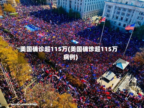 美国确诊超115万(美国确诊超115万病例)-第3张图片