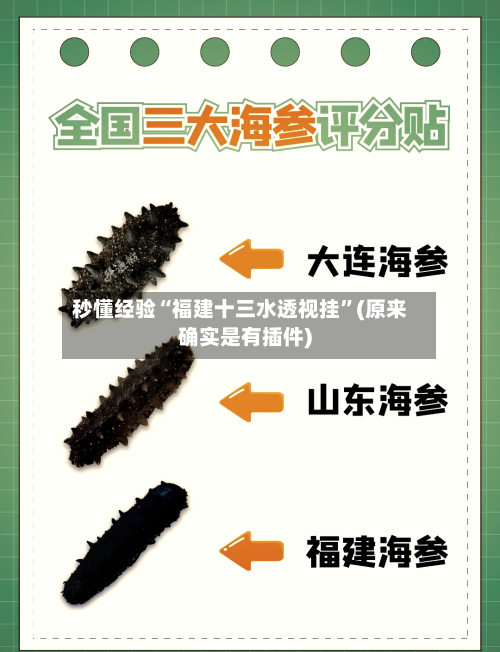 秒懂经验“福建十三水透视挂”(原来确实是有插件)-第3张图片