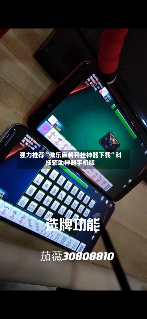 强力推荐“微乐麻将开挂神器下载”科技辅助神器手机版-第2张图片