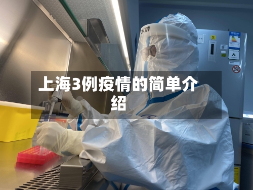 上海3例疫情的简单介绍-第2张图片