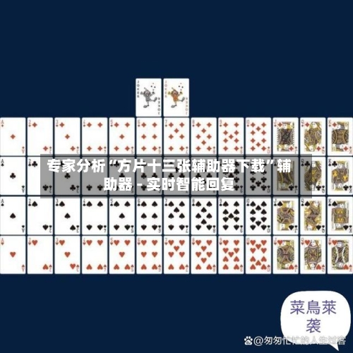 专家分析“方片十三张辅助器下载”辅助器 - 实时智能回复-第2张图片