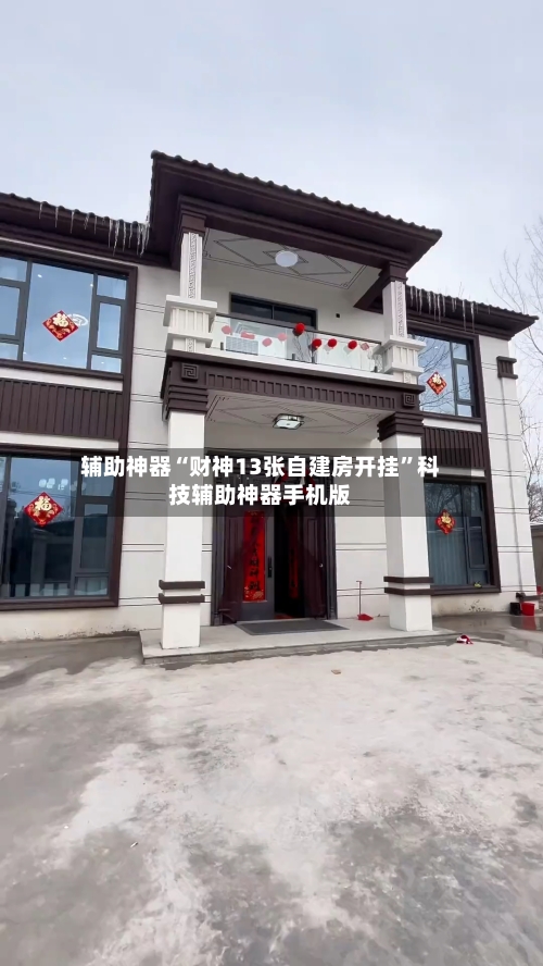 辅助神器“财神13张自建房开挂”科技辅助神器手机版-第2张图片