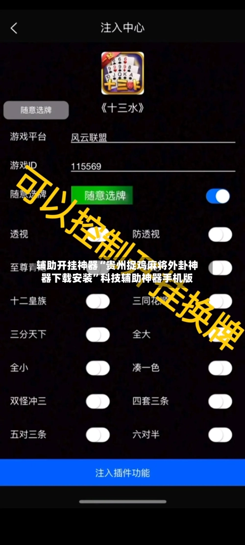 辅助开挂神器“贵州捉鸡麻将外卦神器下载安装”科技辅助神器手机版