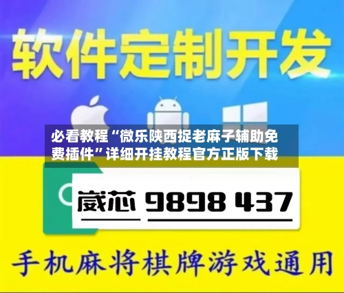 必看教程“微乐陕西捉老麻子辅助免费插件”详细开挂教程官方正版下载-第2张图片