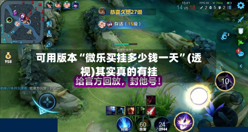 可用版本“微乐买挂多少钱一天”(透视)其实真的有挂-第3张图片