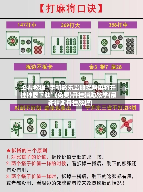 必看教程“手机微乐贵阳捉鸡麻将开挂神器下载”(免费)开挂辅助教学(最新辅助开挂教程)-第2张图片