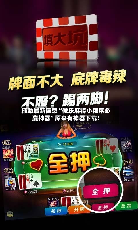 辅助最新信息“微乐麻将小程序必赢神器”原来有神器下载！-第3张图片