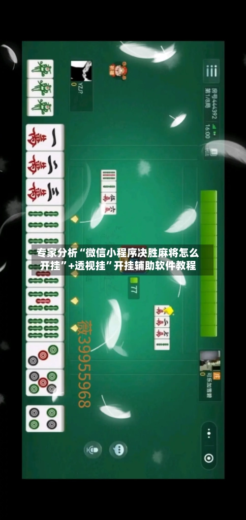 专家分析“微信小程序决胜麻将怎么开挂”+透视挂	”开挂辅助软件教程-第3张图片