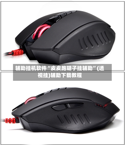 辅助挂机软件“皮皮跑胡子挂辅助	”(透视挂)辅助下载教程-第2张图片