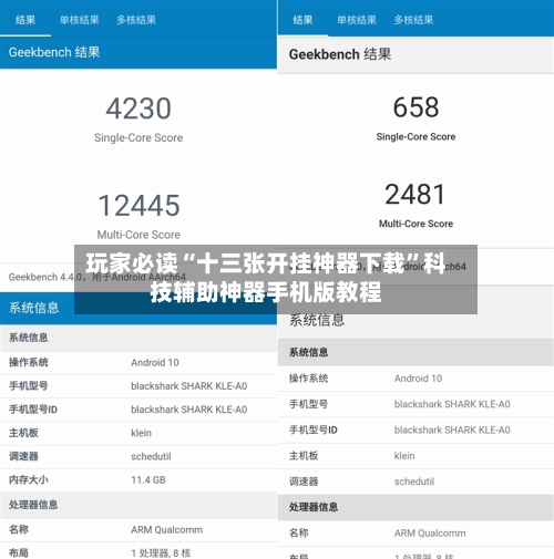 玩家必读“十三张开挂神器下载”科技辅助神器手机版教程-第2张图片