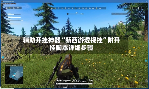 辅助开挂神器“新西游透视挂”附开挂脚本详细步骤-第2张图片