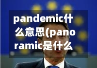 pandemic什么意思(panoramic是什么意思中文翻译)-第2张图片