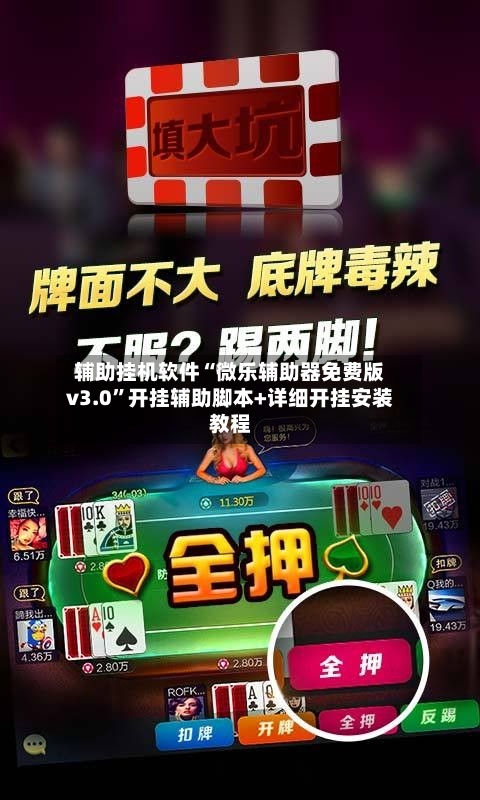 辅助挂机软件“微乐辅助器免费版v3.0	”开挂辅助脚本+详细开挂安装教程-第2张图片