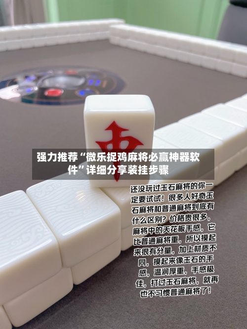 强力推荐“微乐捉鸡麻将必赢神器软件”详细分享装挂步骤-第3张图片