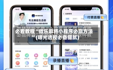 必看教程“微乐麻将小程序必赢方法	”(曝光透视必备猫腻)-第3张图片