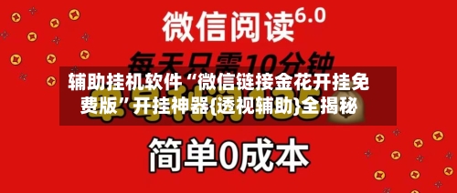 辅助挂机软件“微信链接金花开挂免费版”开挂神器{透视辅助}全揭秘-第2张图片