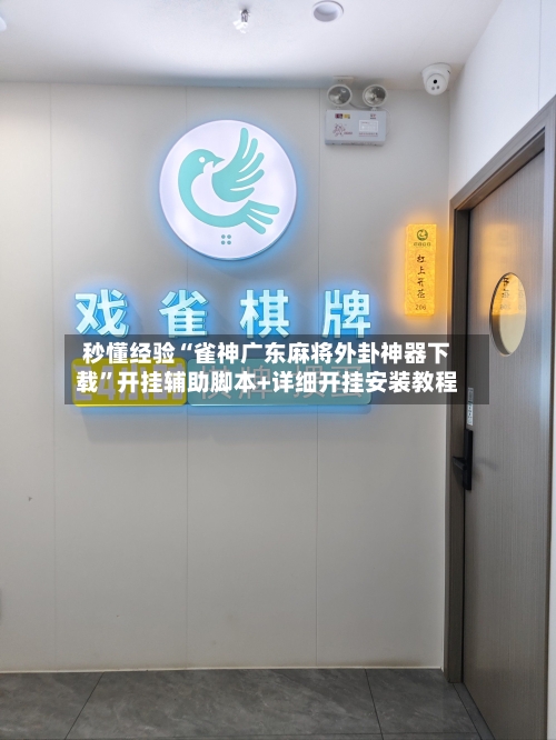 秒懂经验“雀神广东麻将外卦神器下载”开挂辅助脚本+详细开挂安装教程-第3张图片